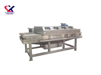 云南毛刷式刷果机