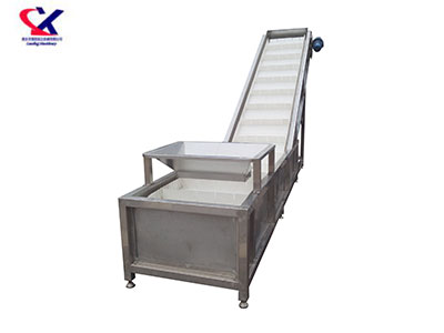 云南刮板输送洗果机