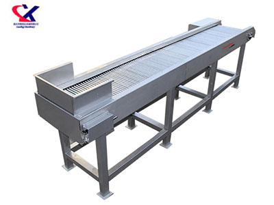 云南O型果专用选果机