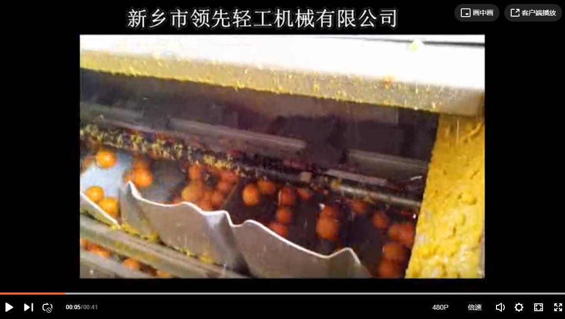 柑橘磨油机工作现场